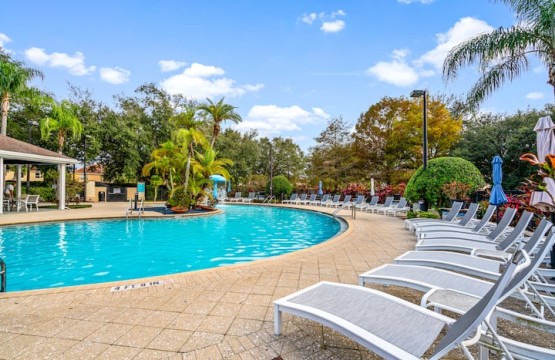 ace1e31f 5c8e 4477 98a9 3e484426d71a